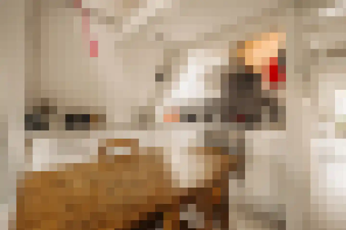 Oudezijds Voorburgwal 151 Amsterdam thumbnail 34