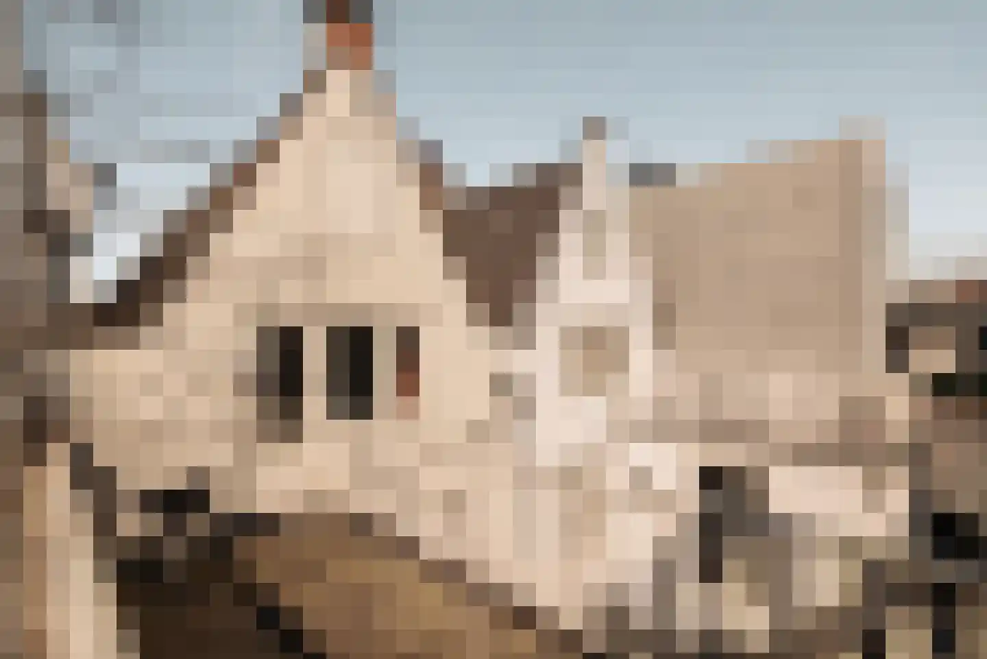 Oudezijds Voorburgwal 151 Amsterdam thumbnail 41