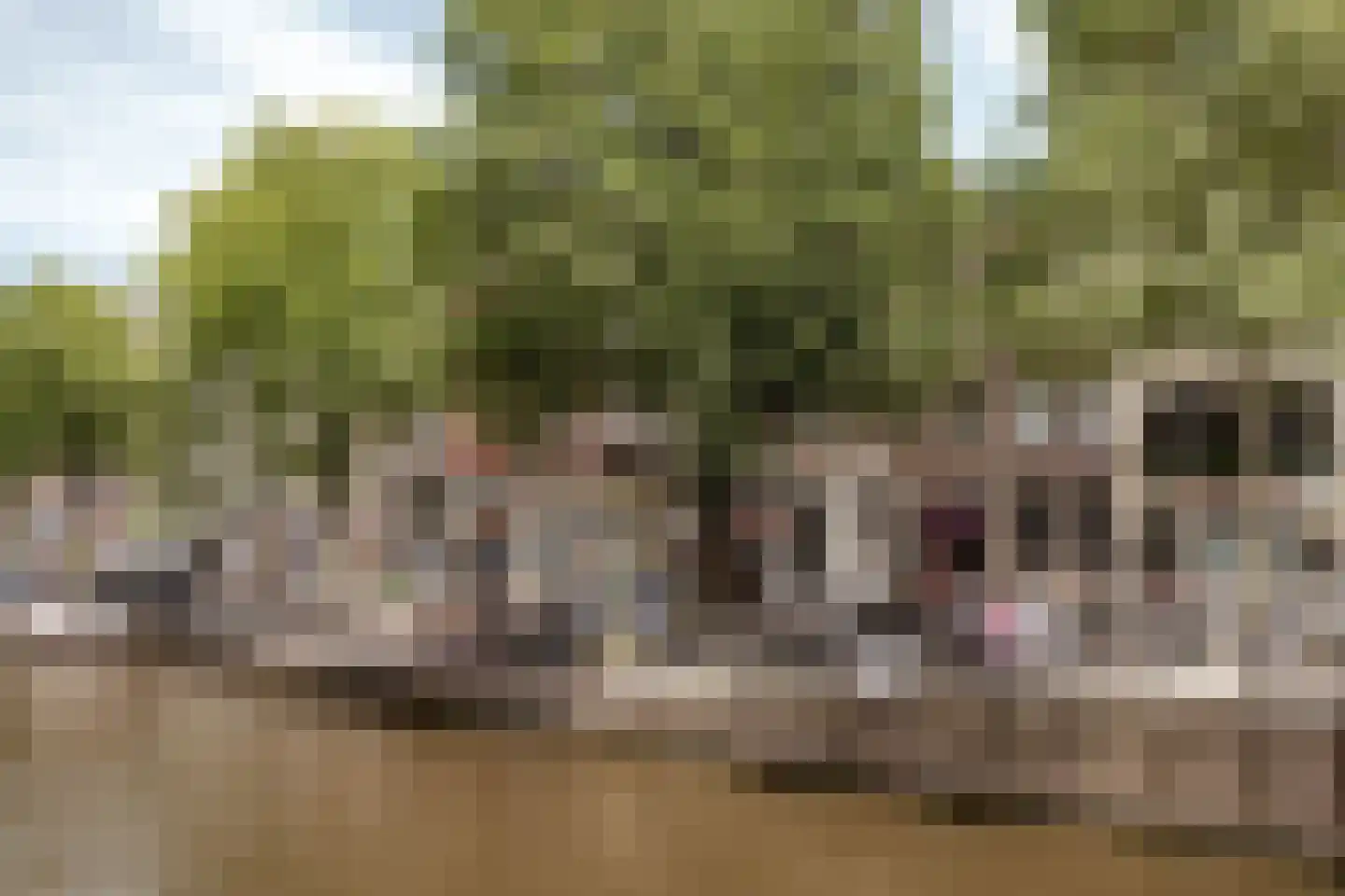 Oudezijds Voorburgwal 171 A Amsterdam thumbnail 25
