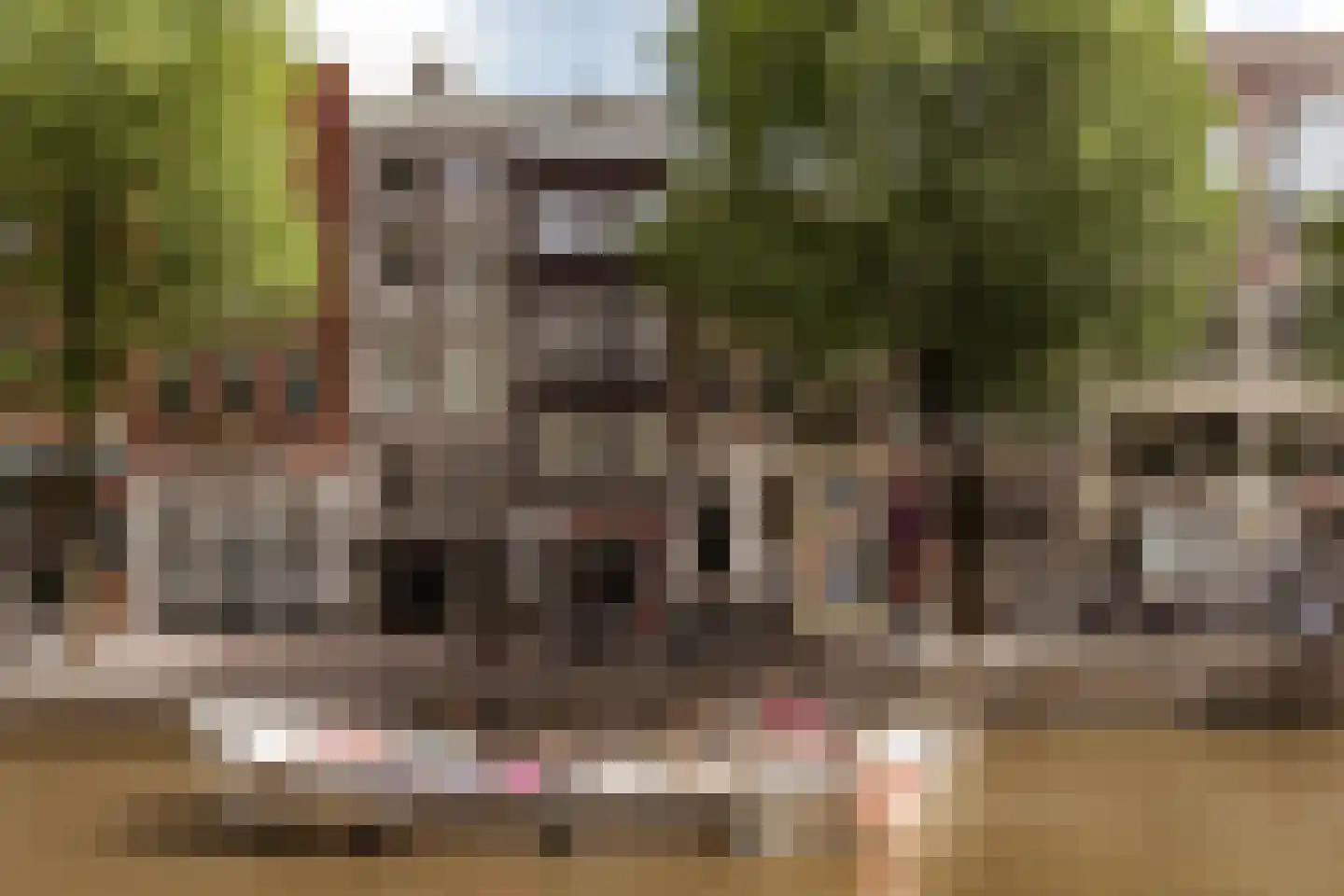 Oudezijds Voorburgwal 171 A Amsterdam thumbnail 26