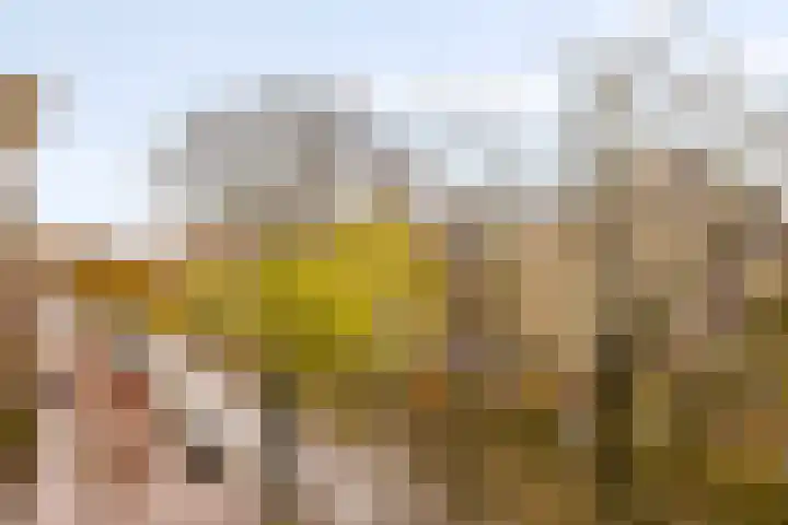 Oudezijds Voorburgwal 200 A Amsterdam thumbnail 17