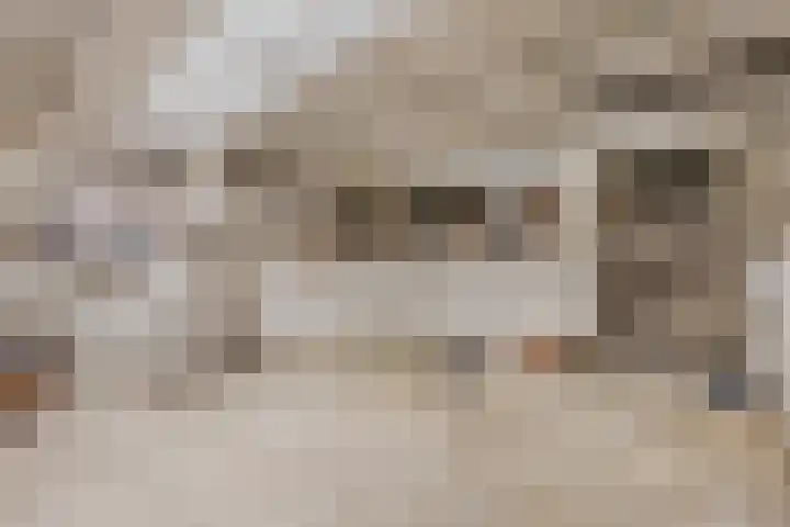 Oudezijds Voorburgwal 217 K Amsterdam thumbnail 24