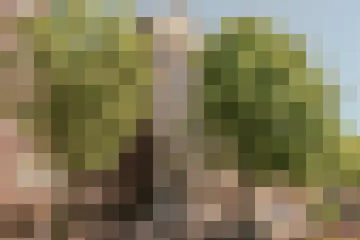 Oudezijds Voorburgwal 217 K Amsterdam thumbnail 25