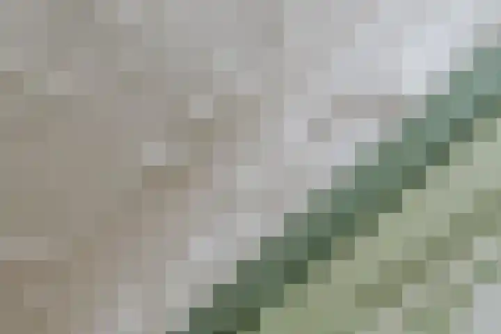 Oudezijds Voorburgwal 217 K Amsterdam thumbnail 27