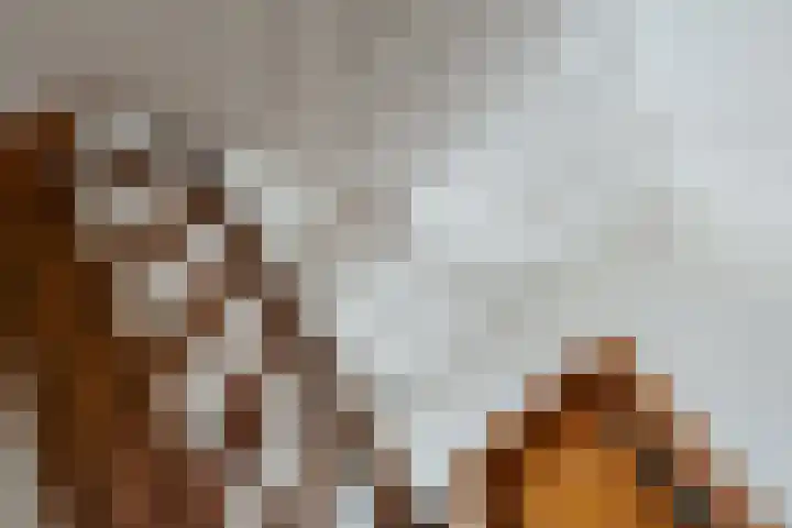 Oudezijds Voorburgwal 217 K Amsterdam thumbnail 29