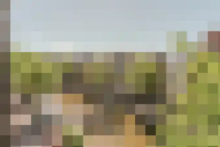 Oudezijds Voorburgwal 217 K Amsterdam thumbnail 8