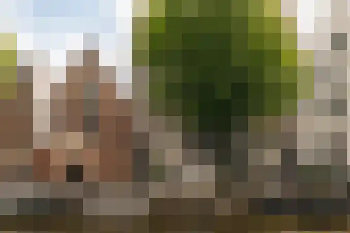 Oudezijds Voorburgwal 233 C Amsterdam thumbnail 37