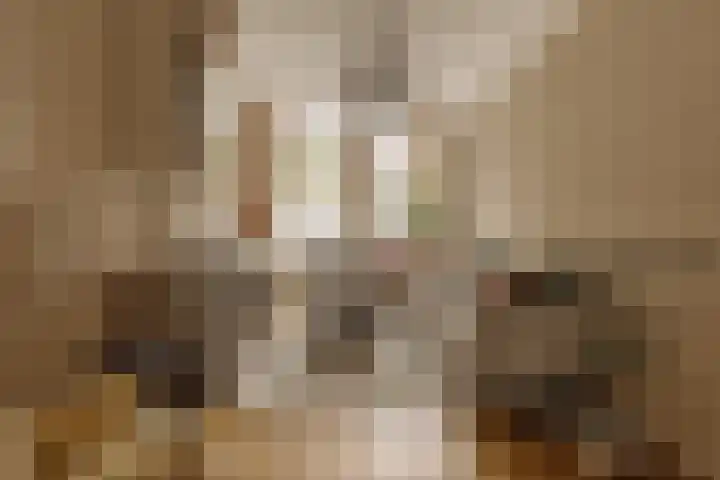 Oudezijds Voorburgwal 233 C Amsterdam thumbnail 5