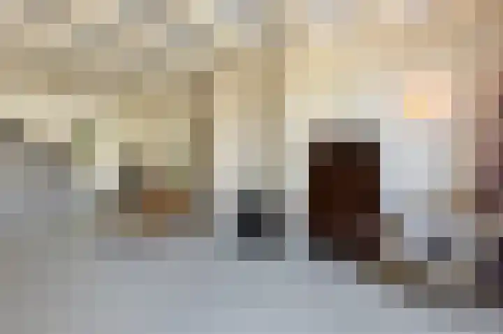 Oudezijds Voorburgwal 233 C Amsterdam thumbnail 9