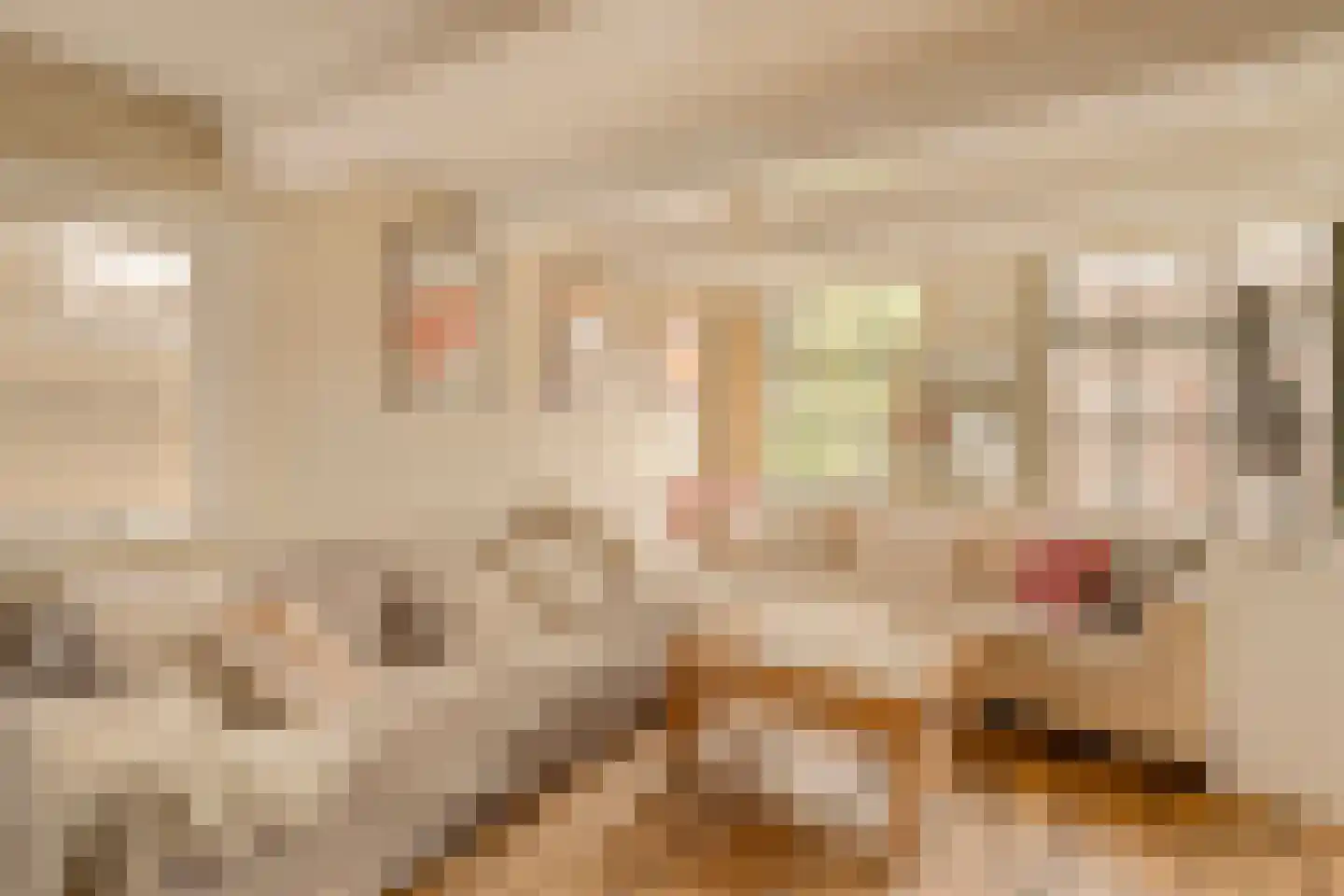 Oudezijds Voorburgwal 298 1 Amsterdam thumbnail 5