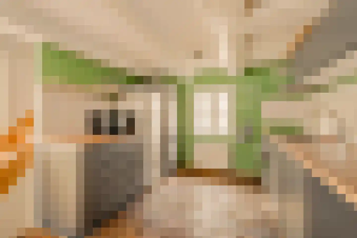 Oudezijds Voorburgwal 298 1 Amsterdam thumbnail 8