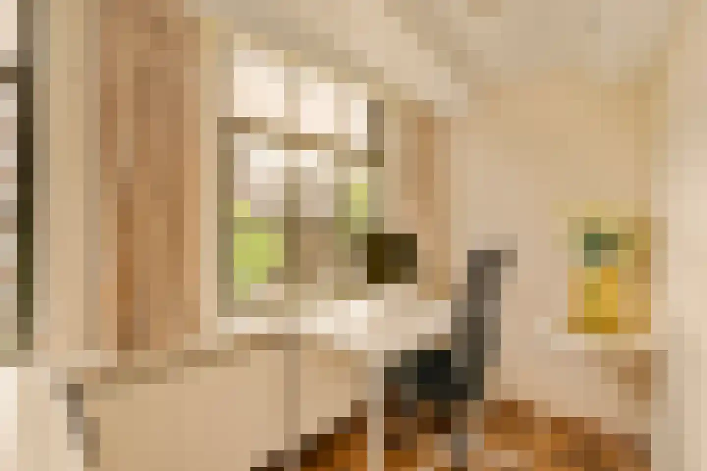 Oudezijds Voorburgwal 298 1 Amsterdam thumbnail 9