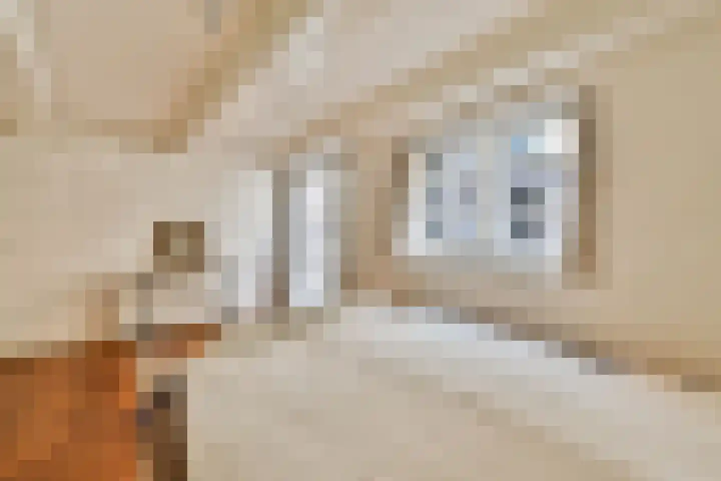 Oudezijds Voorburgwal 316 D Amsterdam thumbnail 15