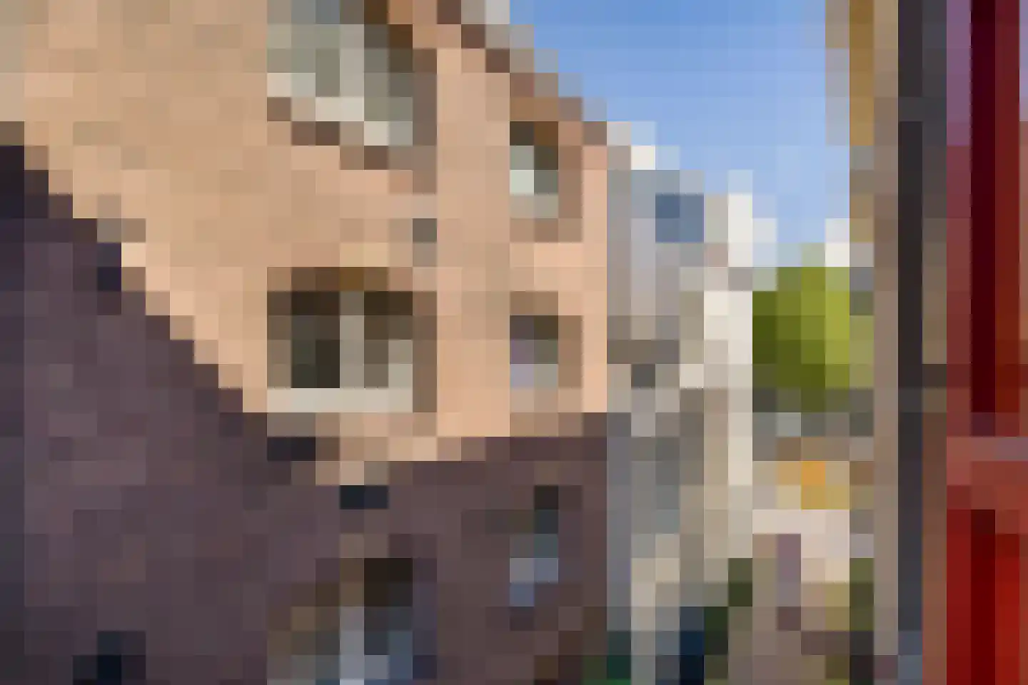 Oudezijds Voorburgwal 316 D Amsterdam thumbnail 17