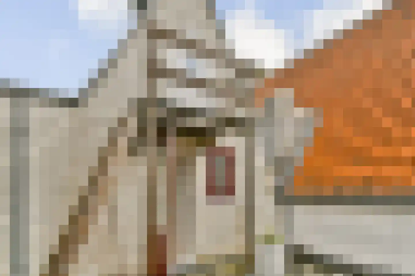 Oudezijds Voorburgwal 32 F Amsterdam thumbnail 12