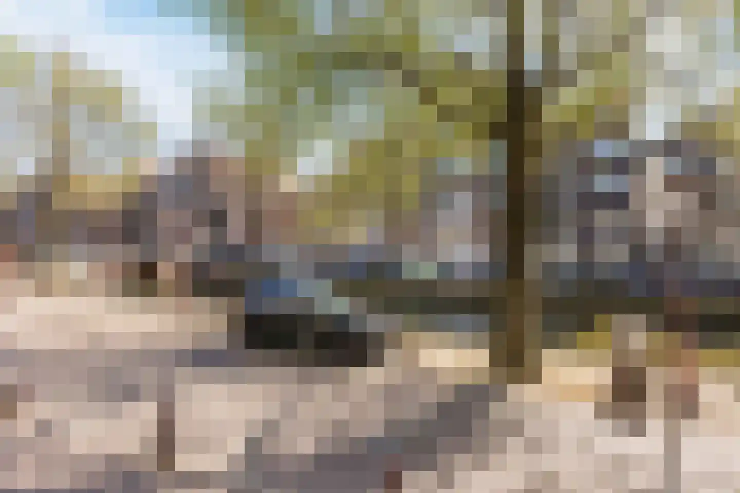 Oudezijds Voorburgwal 84 Amsterdam thumbnail 10