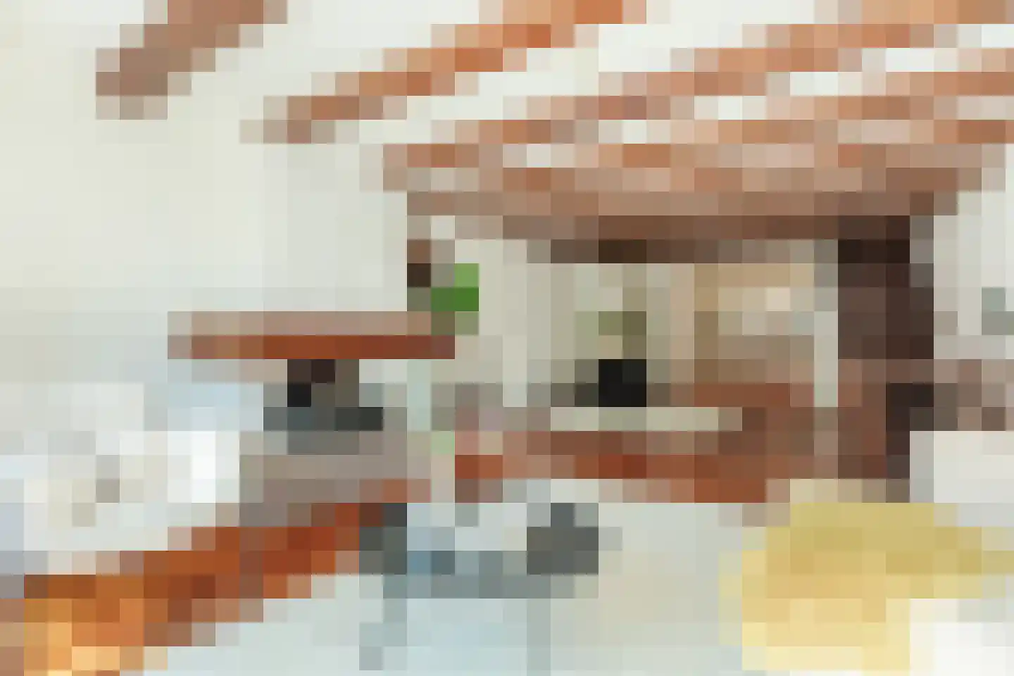 Oudezijds Voorburgwal 84 Amsterdam thumbnail 13
