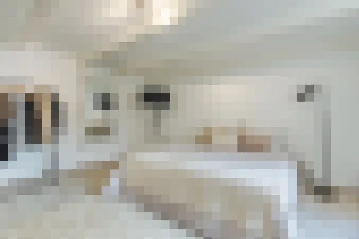 Oudezijds Voorburgwal 84 Amsterdam thumbnail 34