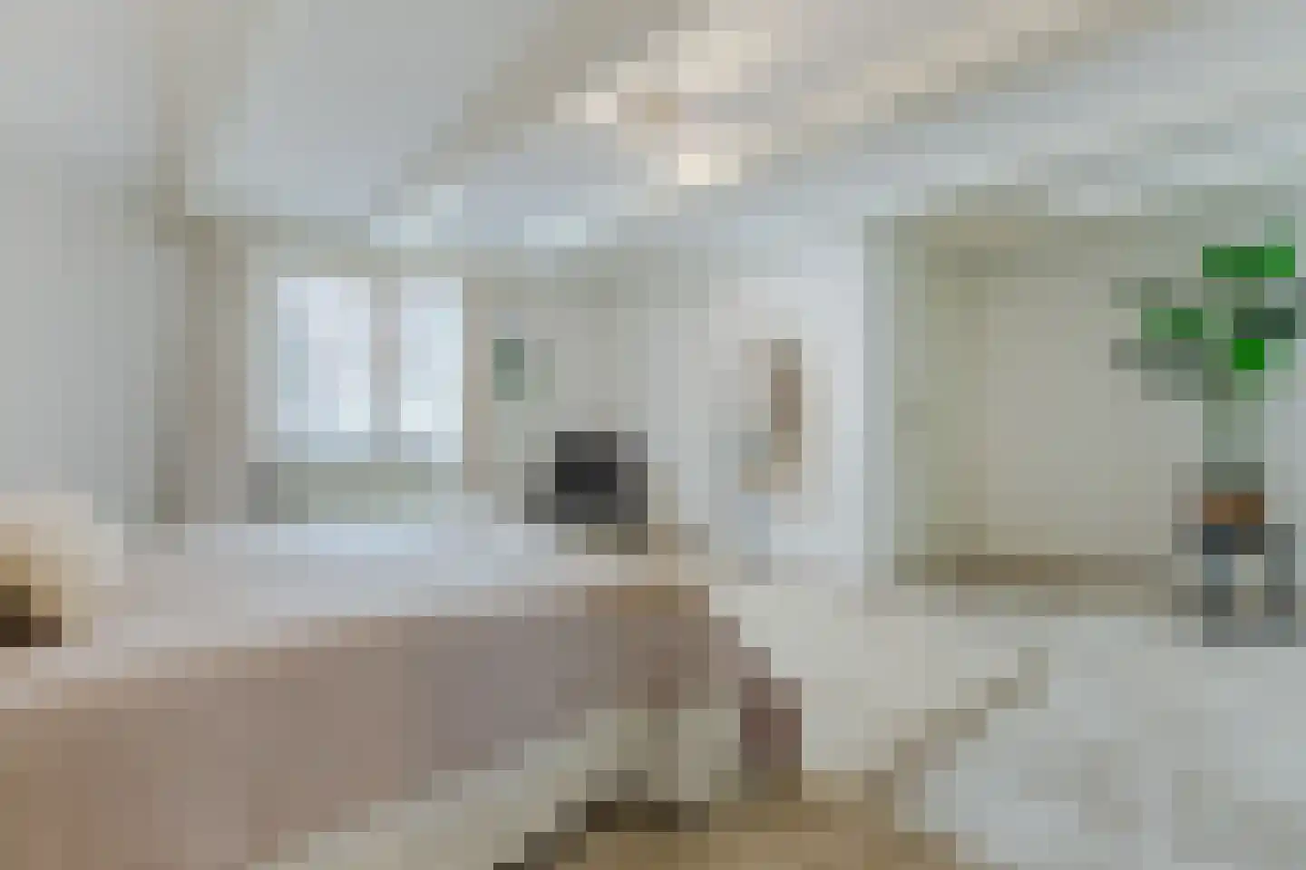 Oudezijds Voorburgwal 84 Amsterdam thumbnail 4