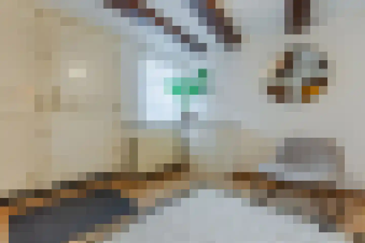 Oudezijds Voorburgwal 84 Amsterdam thumbnail 8