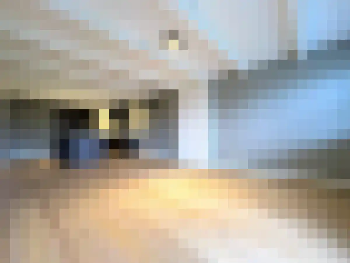Oudezijds Voorburgwal Amsterdam thumbnail 6