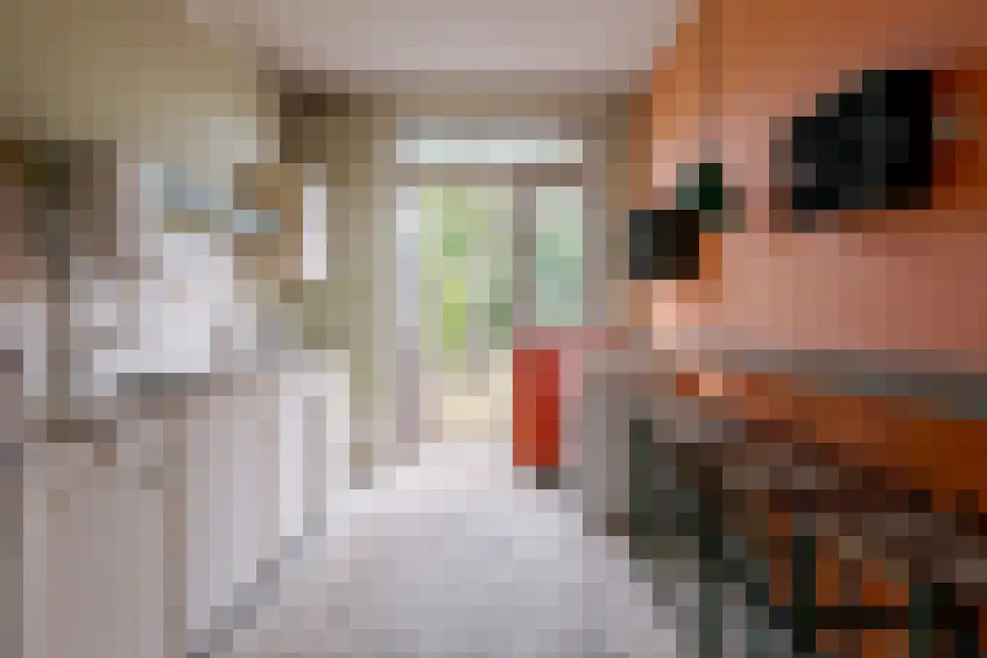 Oudgenoegstraat 26 Roden thumbnail 25