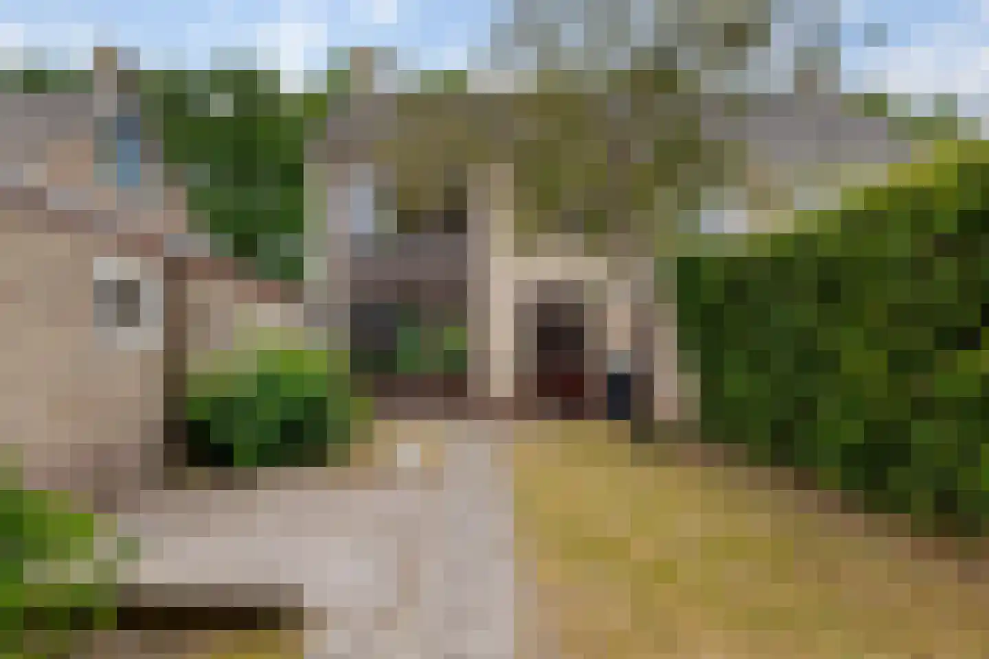 Oudgenoegstraat 26 Roden thumbnail 27