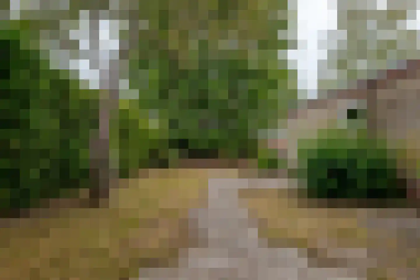 Oudgenoegstraat 26 Roden thumbnail 30