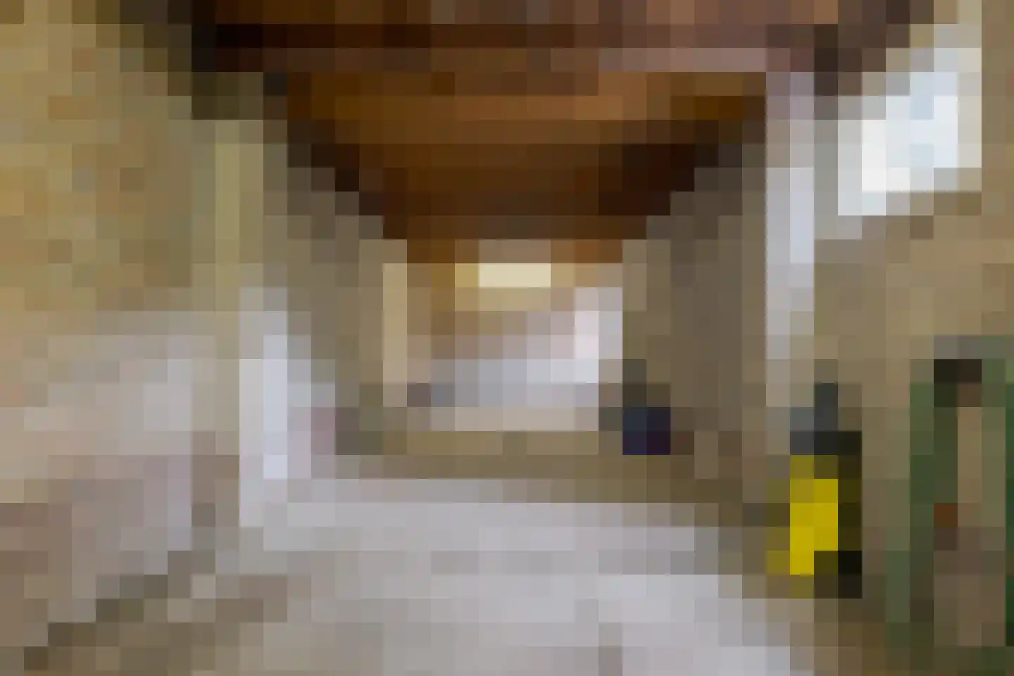 Oudgenoegstraat 26 Roden thumbnail 61
