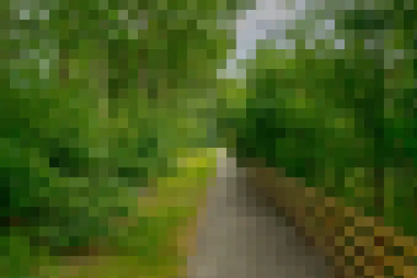 Oudgenoegstraat 26 Roden thumbnail 9