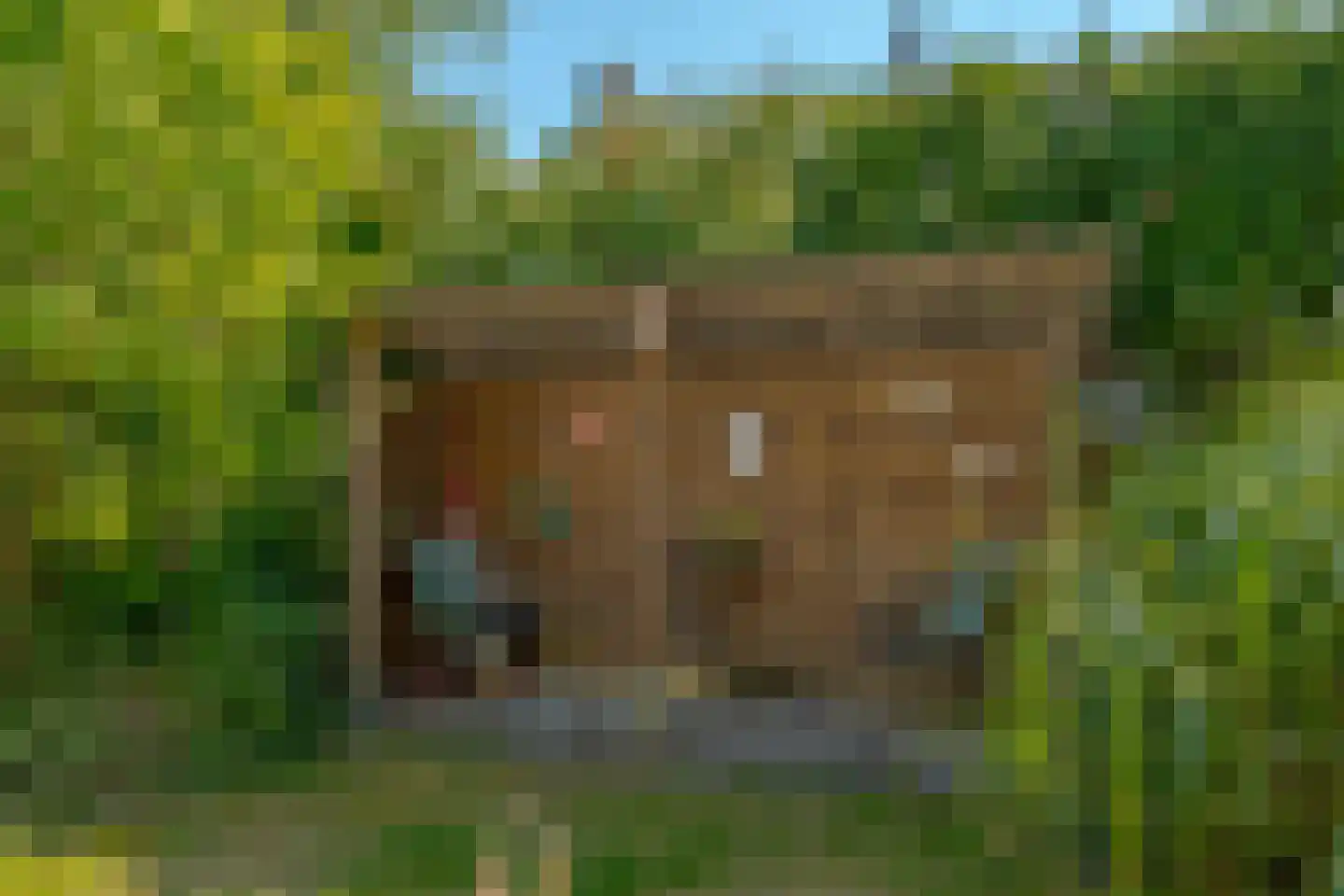 Oudgenoegstraat 50 Roden thumbnail 11