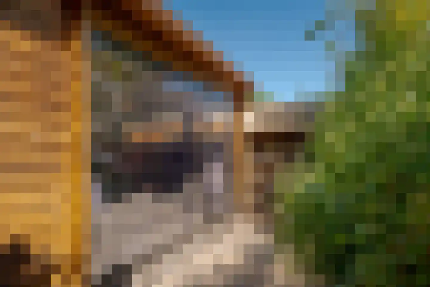 Oudgenoegstraat 50 Roden thumbnail 37