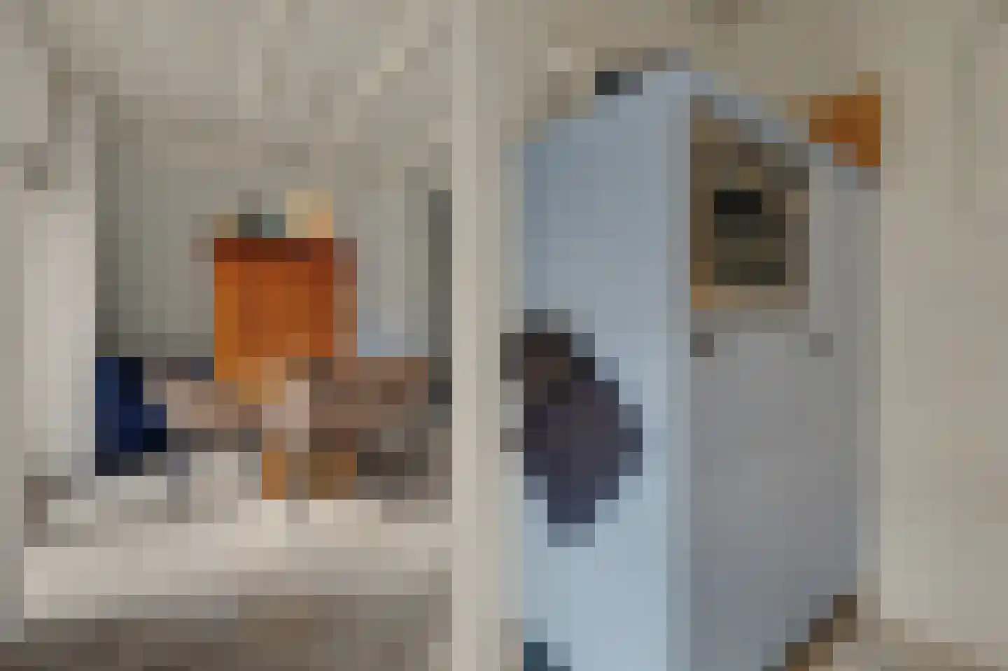 Oudheusdensestraat 25 Heusden thumbnail 14