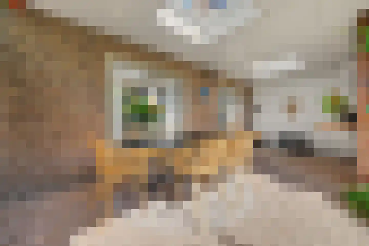 Oudheusdensestraat 25 Heusden thumbnail 15