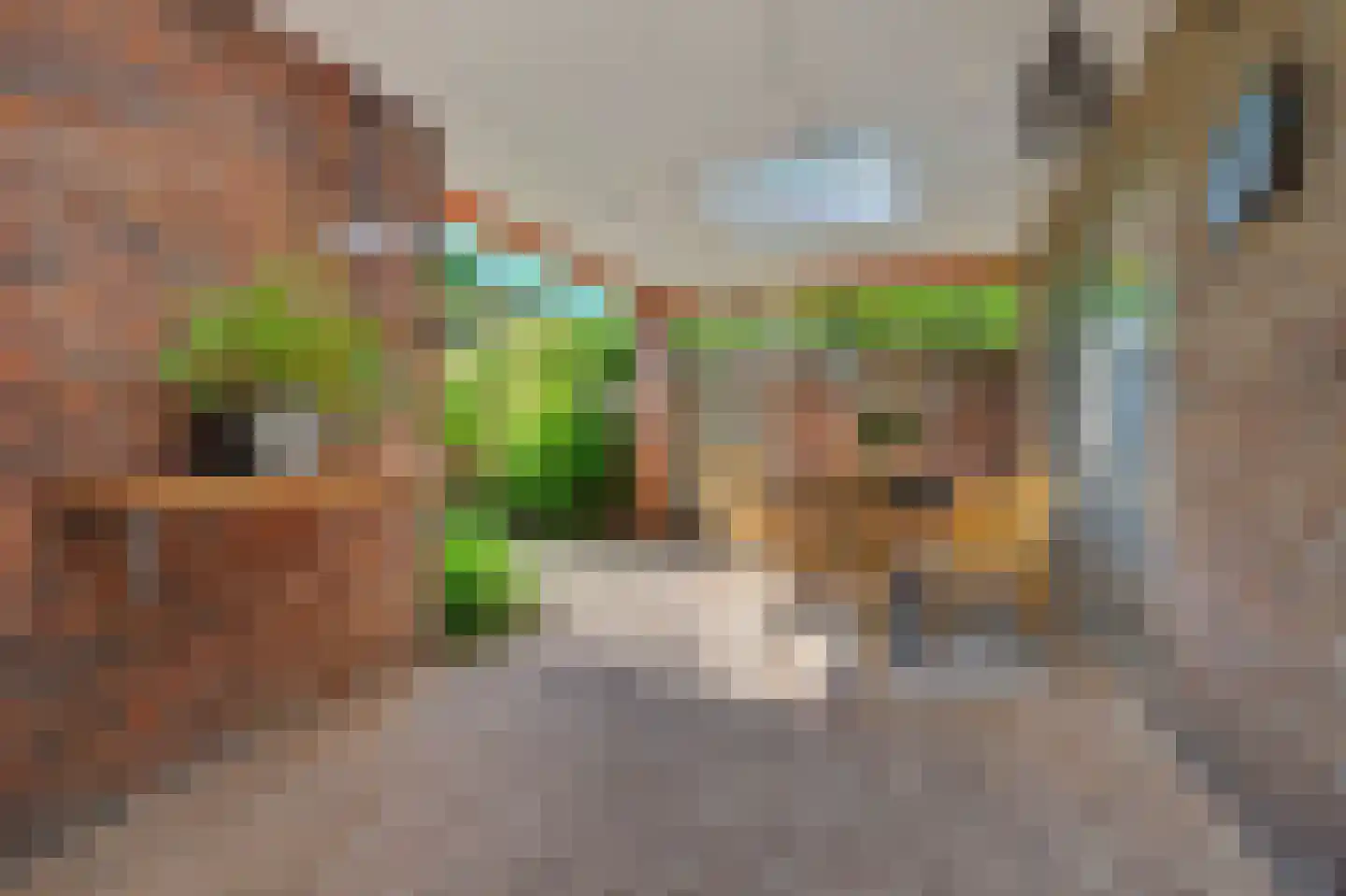 Oudheusdensestraat 25 Heusden thumbnail 33
