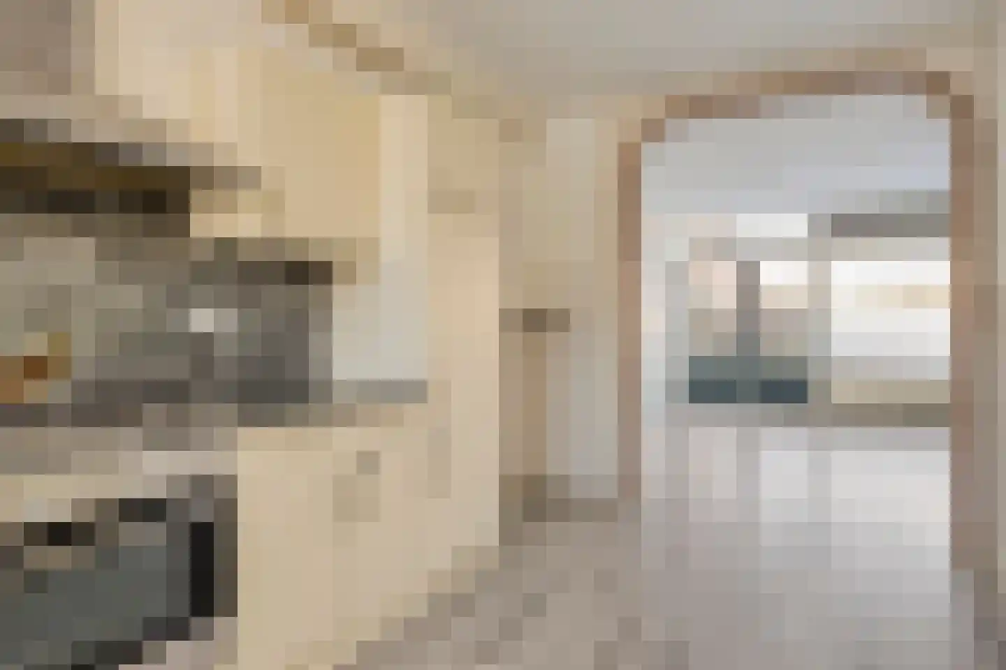 Oudhof 7 Goes thumbnail 7