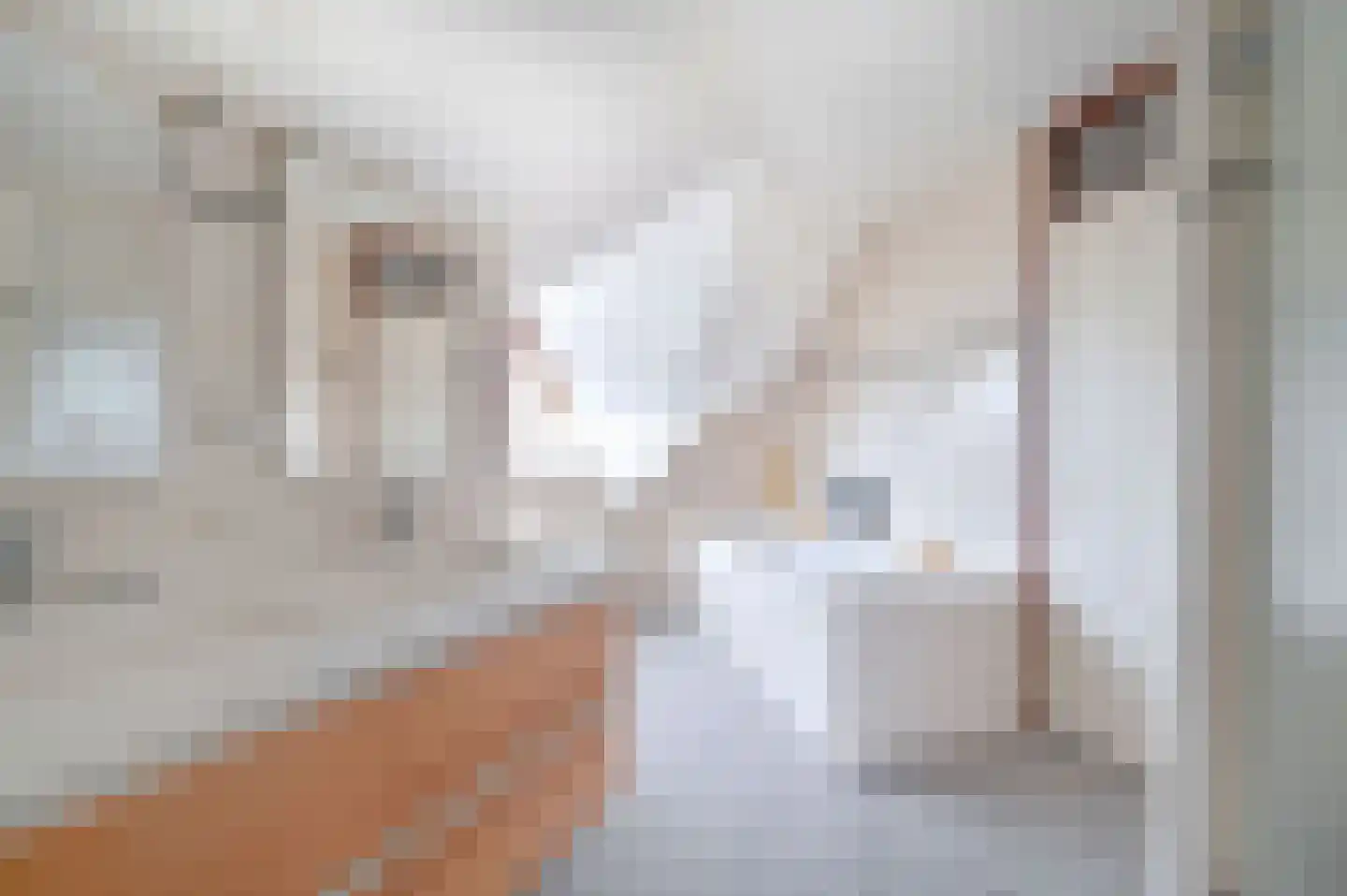 Oudhuijzerweg 30 Wilnis thumbnail 25