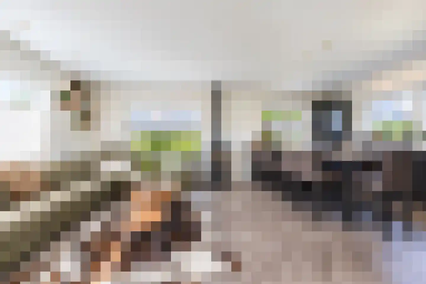 Oudhuijzerweg 43 Wilnis thumbnail 7