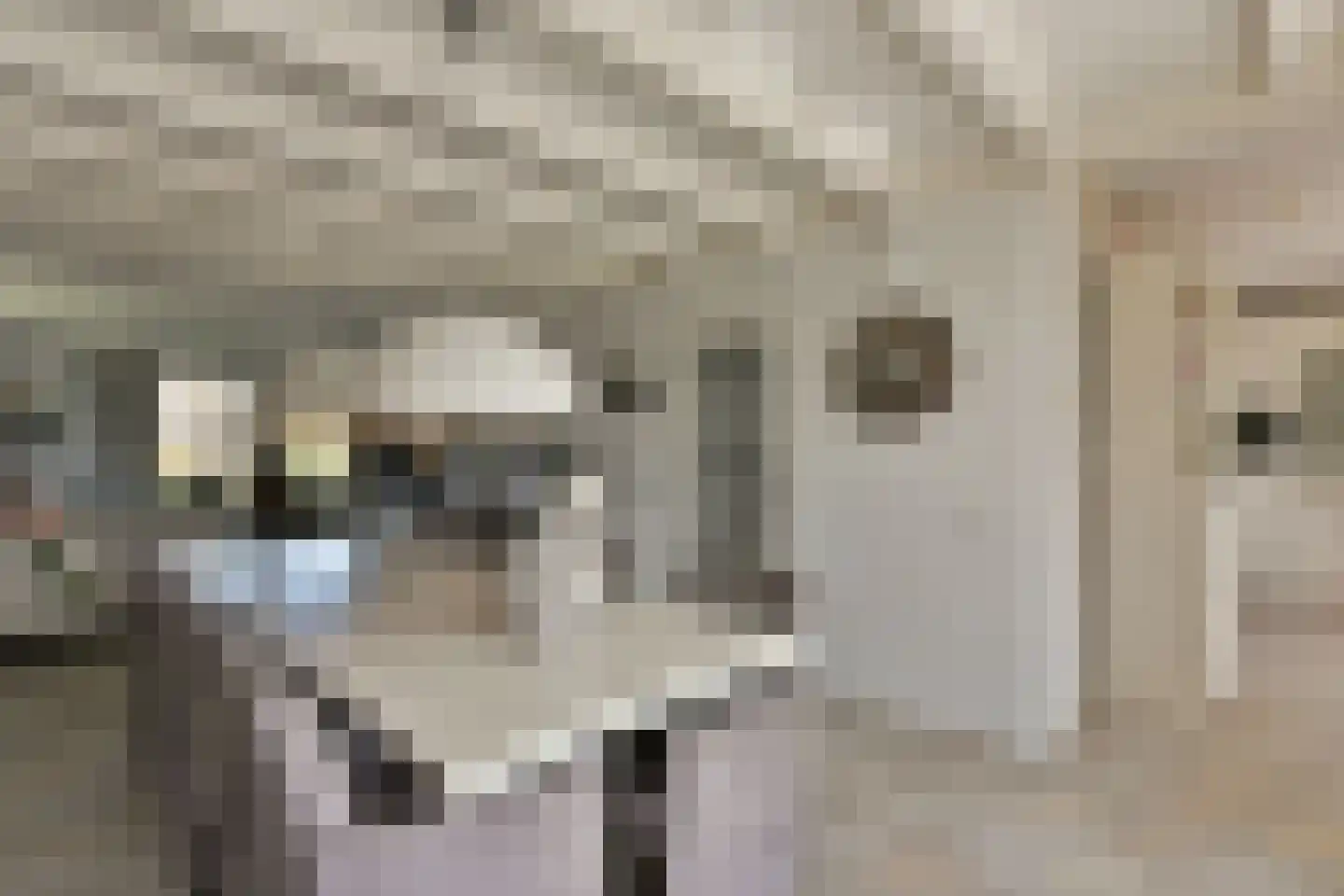 Oudhuijzerweg 62 Wilnis thumbnail 13