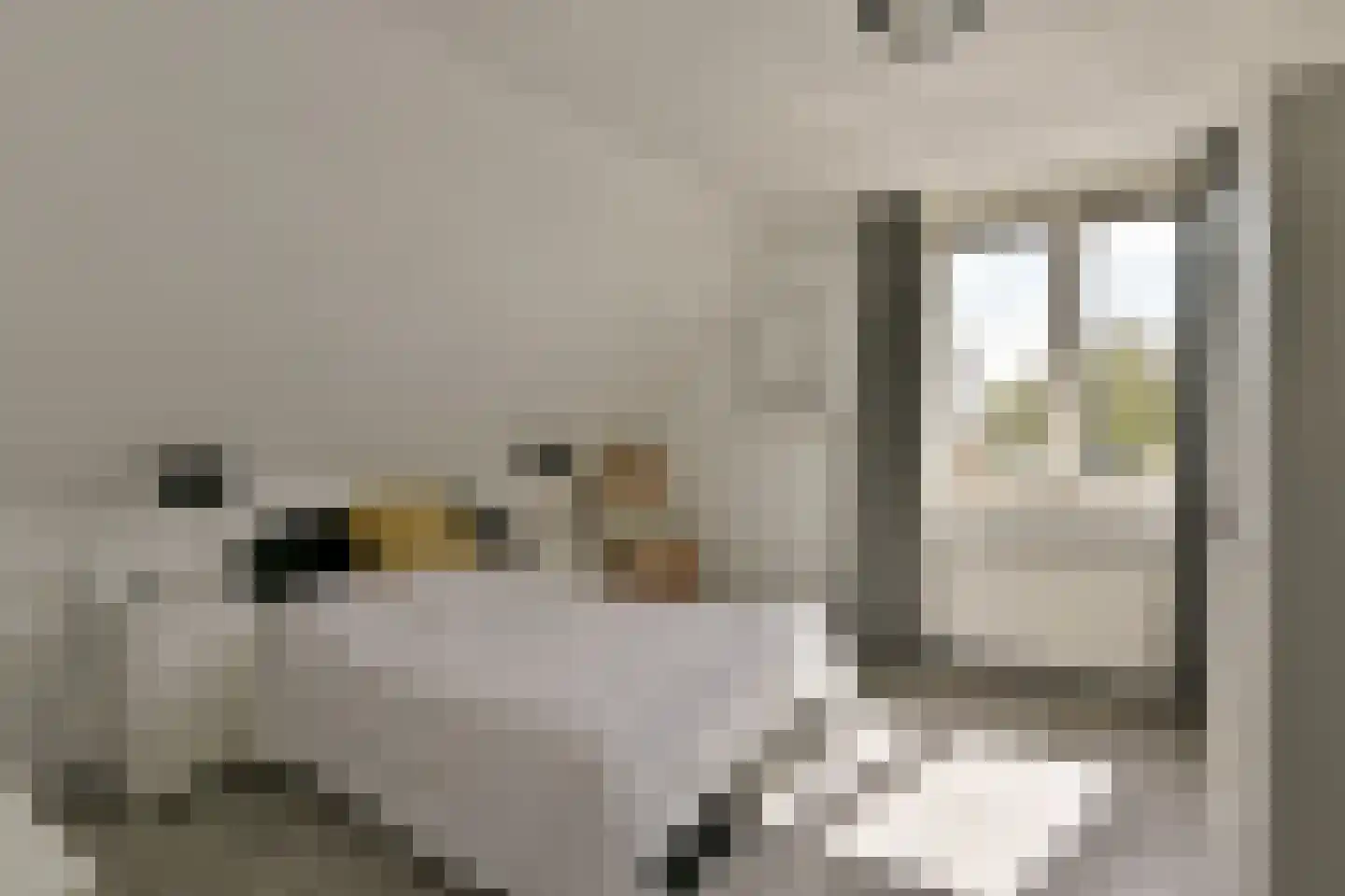 Oudhuijzerweg 62 Wilnis thumbnail 24