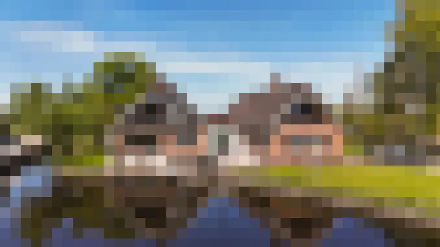 Oudhuijzerweg 62 Wilnis thumbnail 4