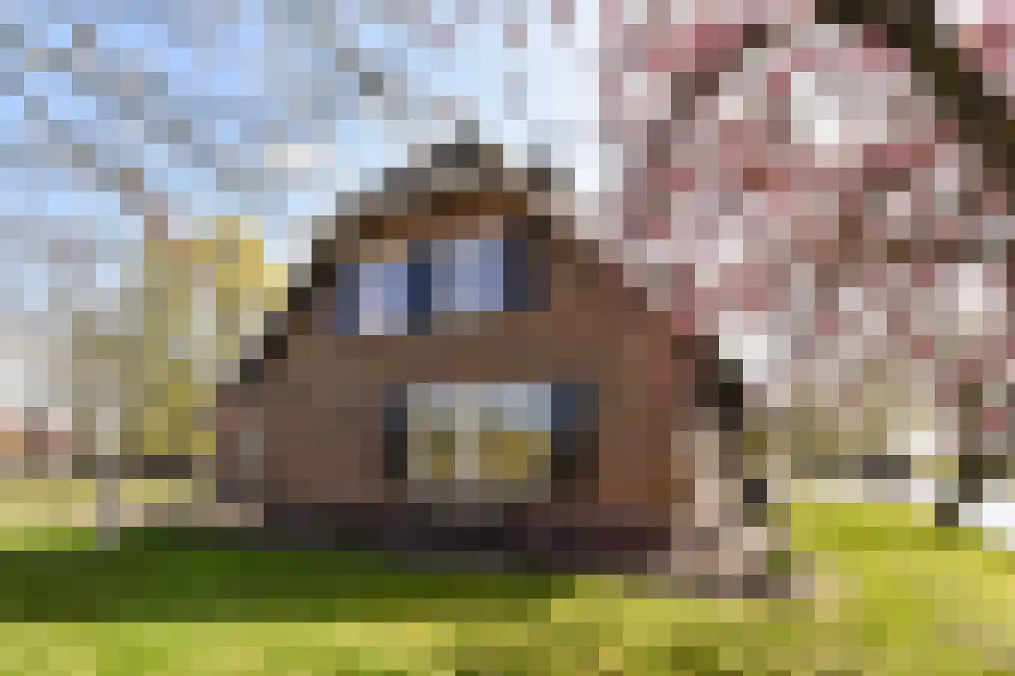 Oudhuijzerweg 62 Wilnis thumbnail 69