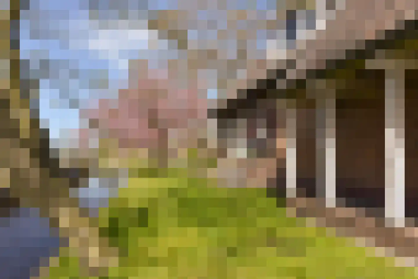 Oudhuijzerweg 62 Wilnis thumbnail 70