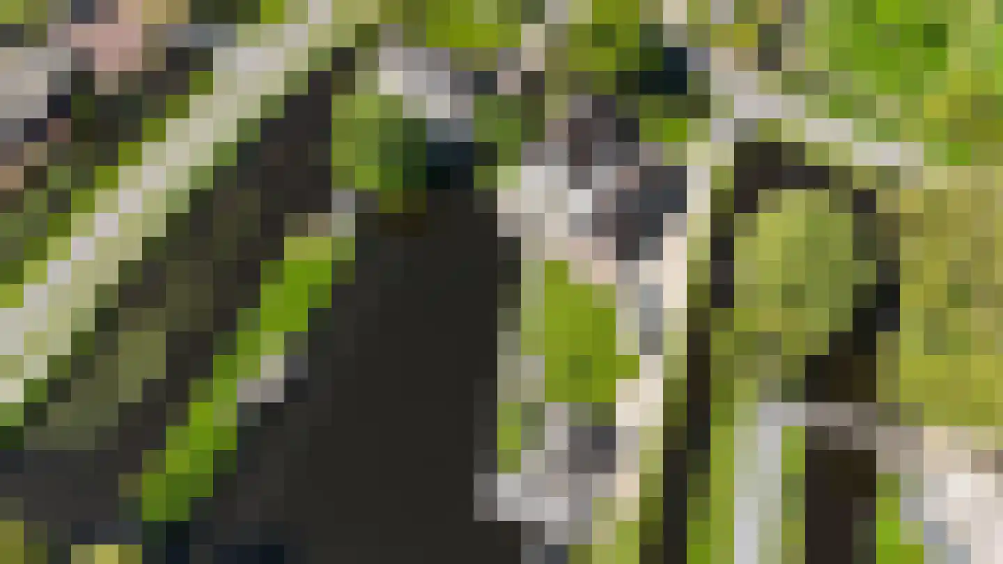 Oudhuijzerweg 62 Wilnis thumbnail 80