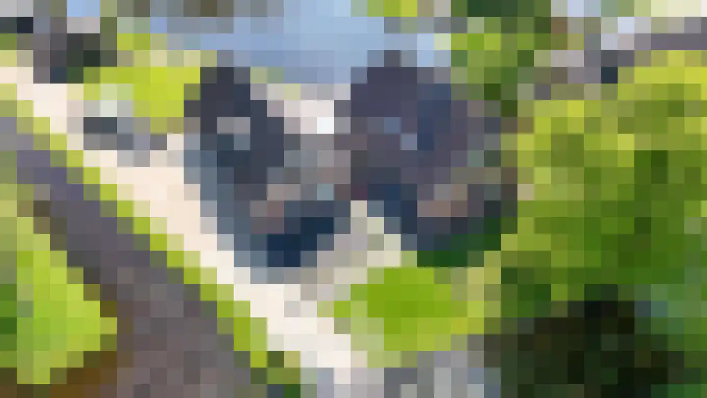 Oudhuijzerweg 62 Wilnis thumbnail 81
