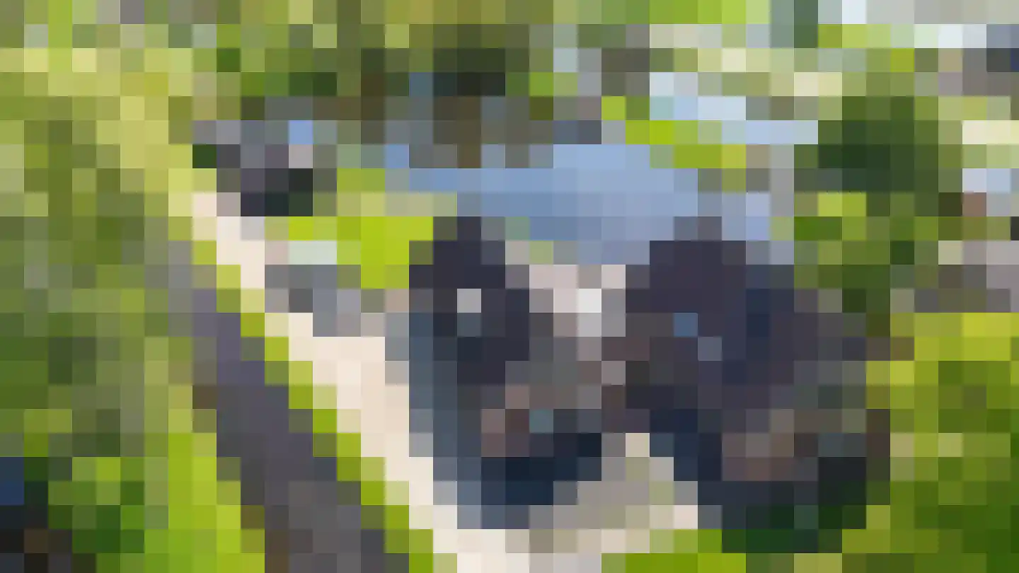 Oudhuijzerweg 62 Wilnis thumbnail 82