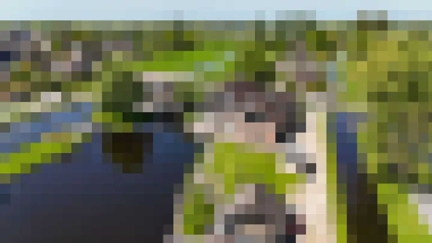 Oudhuijzerweg 62 Wilnis thumbnail 84