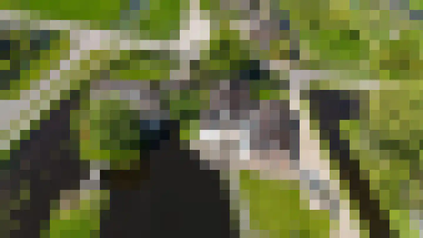Oudhuijzerweg 62 Wilnis thumbnail 85