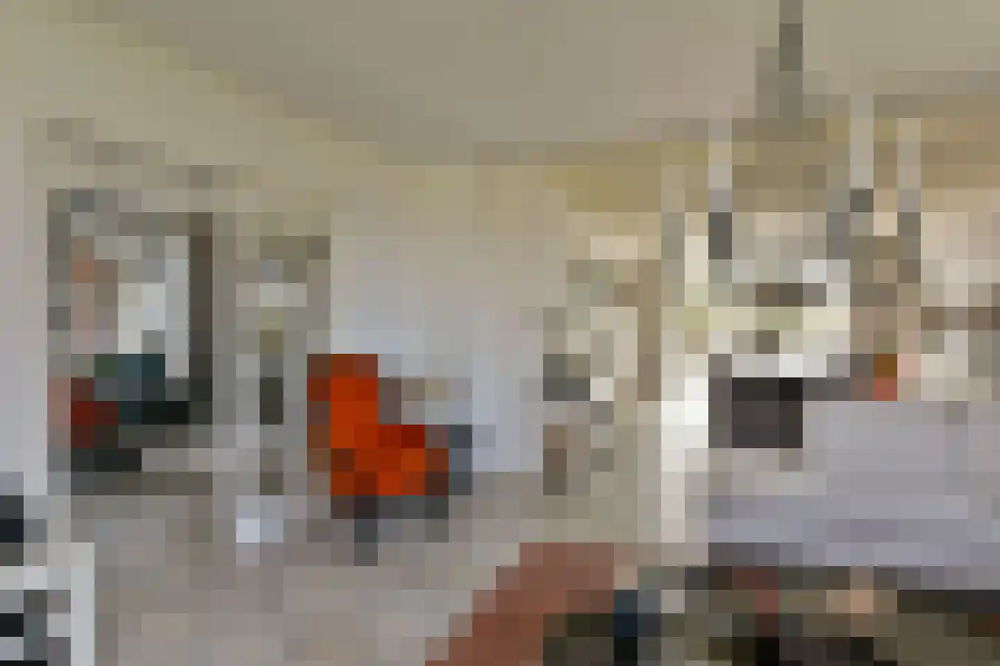 Oudhuijzerweg 62 Wilnis thumbnail 9