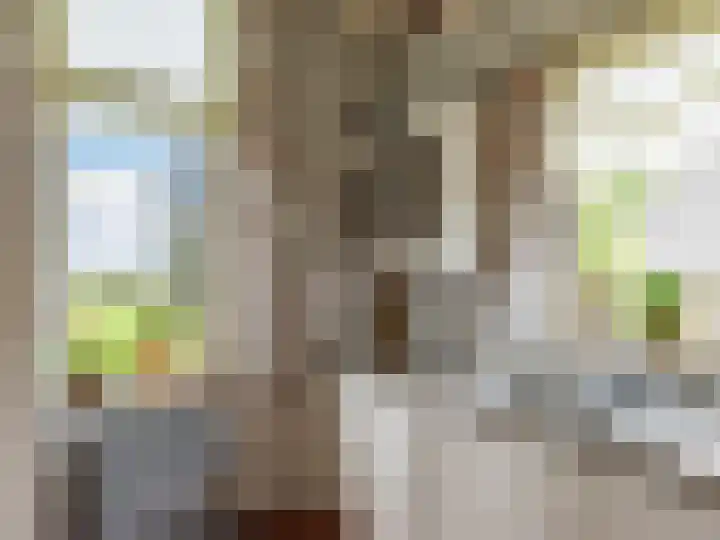 Oudhuizerstraat 20 Klarenbeek thumbnail 17